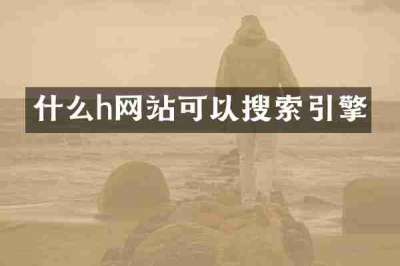 什么h网站可以搜索引擎