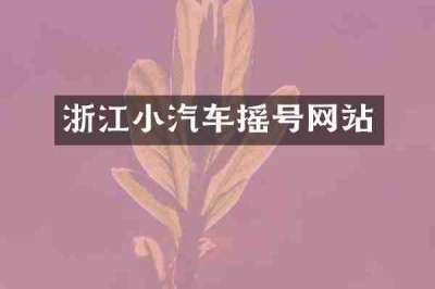 浙江小汽车摇号网站