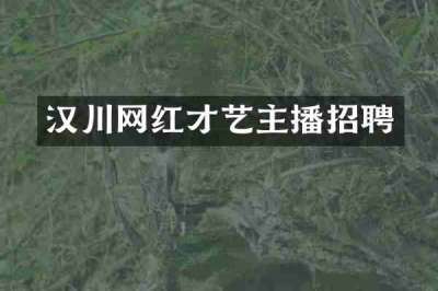 汉川网红才艺主播招聘