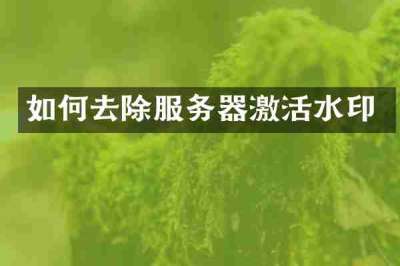 如何去除服务器激活水印
