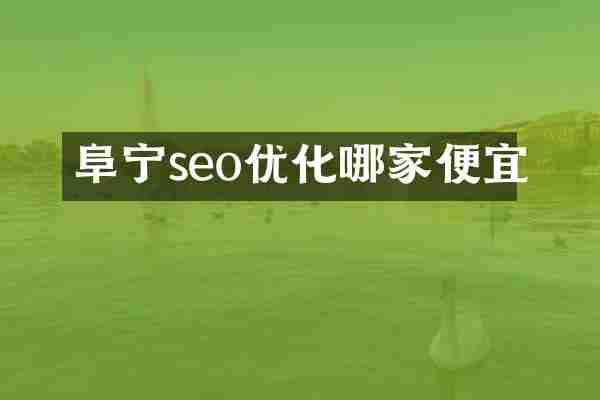 阜宁seo优化哪家便宜
