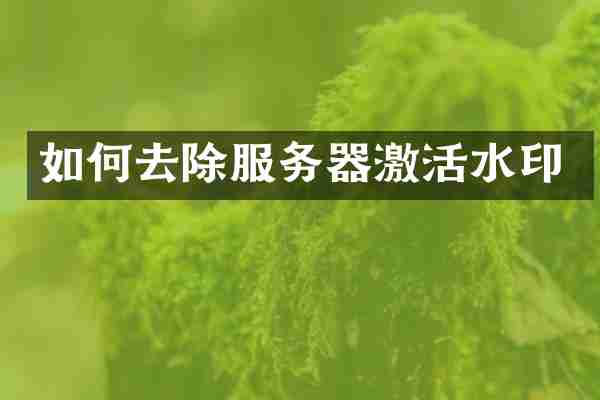 如何去除服务器激活水印