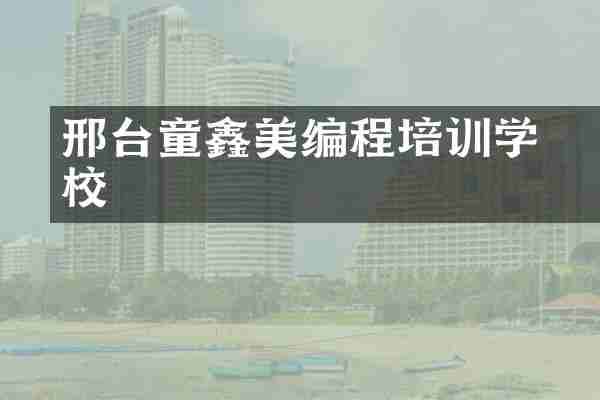 邢台童鑫徳美编程培训学校