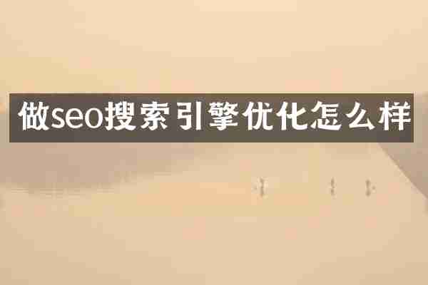 做seo搜索引擎优化怎么样