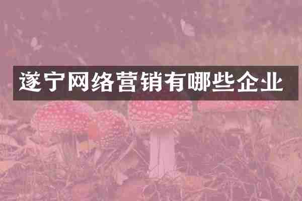 遂宁网络营销有哪些企业