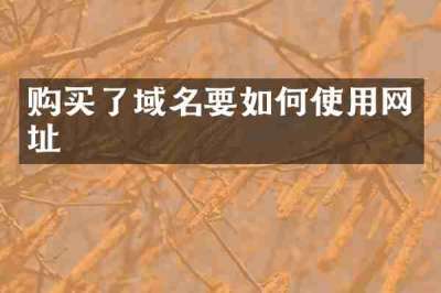 购买了域名要如何使用网址