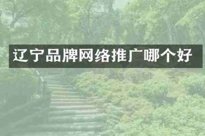 辽宁品牌网络推广哪个好