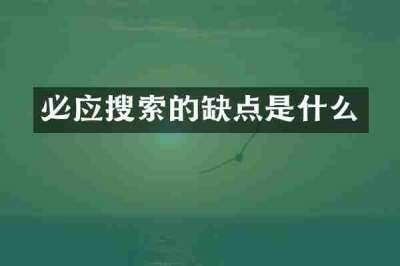 必应搜索的缺点是什么