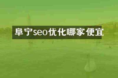 阜宁seo优化哪家便宜