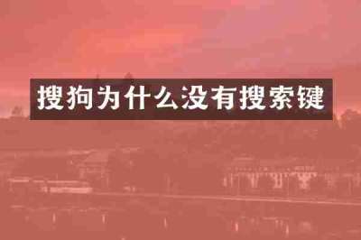 搜狗为什么没有搜索键