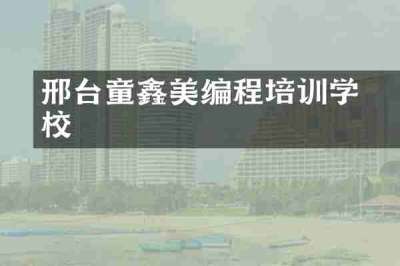 邢台童鑫徳美编程培训学校