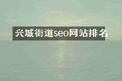兴城街道seo网站排名