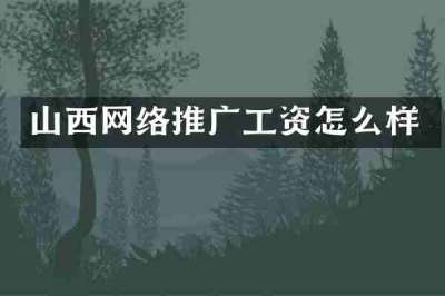 山西网络推广工资怎么样
