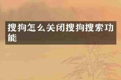 搜狗怎么关闭搜狗搜索功能