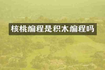 核桃编程是积木编程吗