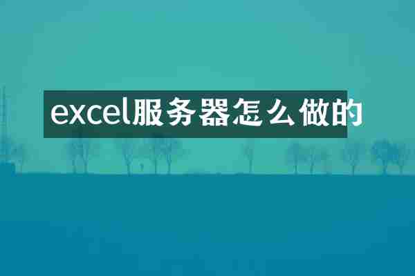 excel服务器怎么做的