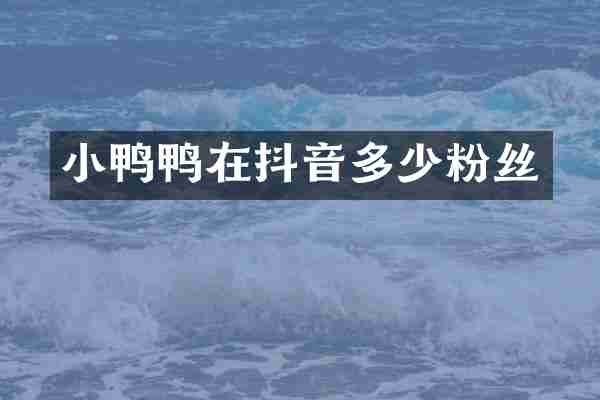 小鸭鸭在抖音多少粉丝