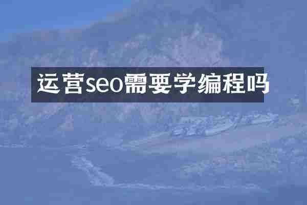 运营seo需要学编程吗