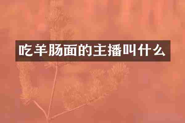 吃羊肠面的主播叫什么