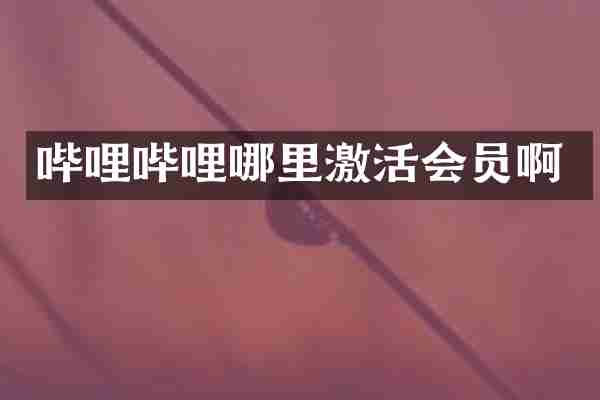 哔哩哔哩哪里激活会员啊