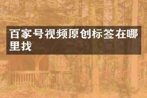 百家号视频原创标签在哪里找