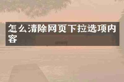 怎么清除网页下拉选项内容