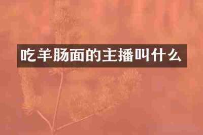 吃羊肠面的主播叫什么