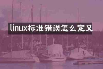 linux标准错误怎么定义