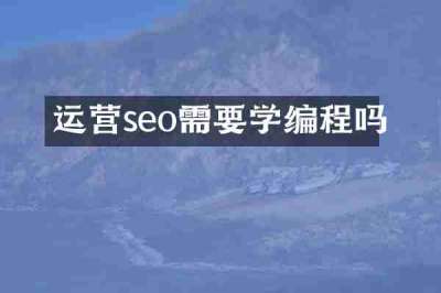 运营seo需要学编程吗