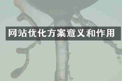 网站优化方案意义和作用