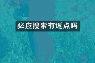 必应搜索有返点吗