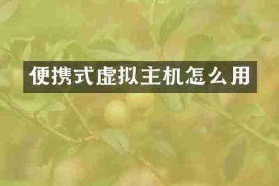 便携式虚拟主机怎么用