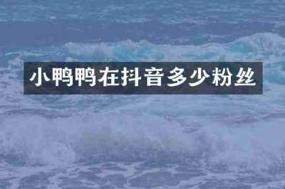小鸭鸭在抖音多少粉丝
