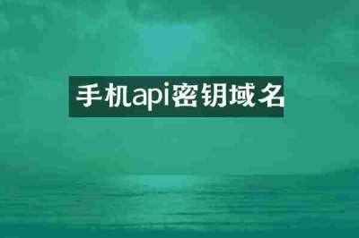 手机api密钥域名