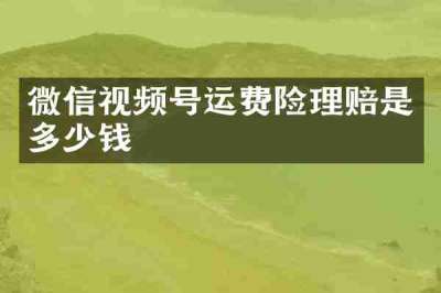 微信视频号运费险理赔是多少钱