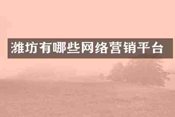 潍坊有哪些网络营销平台