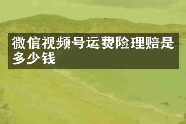 微信视频号运费险理赔是多少钱