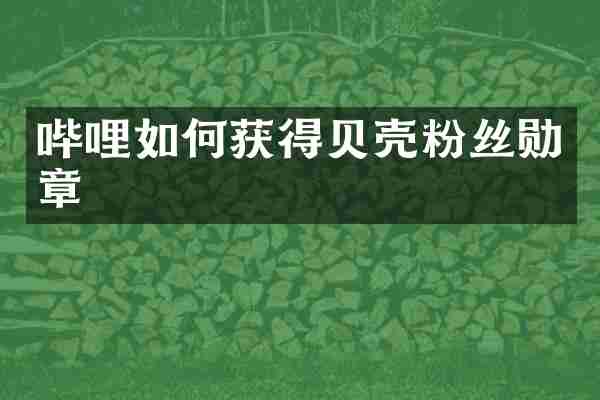 哔哩如何获得贝壳粉丝勋章