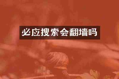 必应搜索会翻墙吗