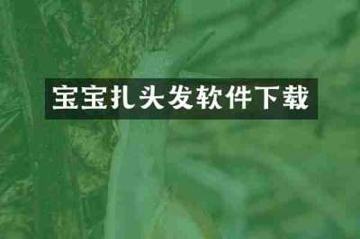 宝宝扎头发软件下载