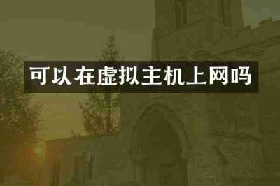可以在虚拟主机上网吗