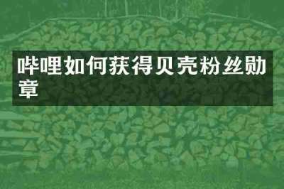 哔哩如何获得贝壳粉丝勋章