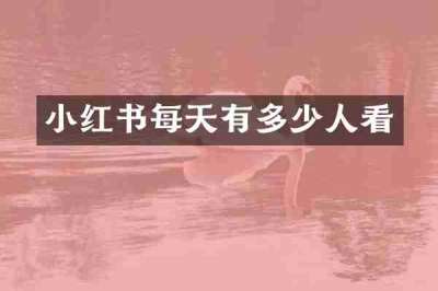 小红书每天有多少人看