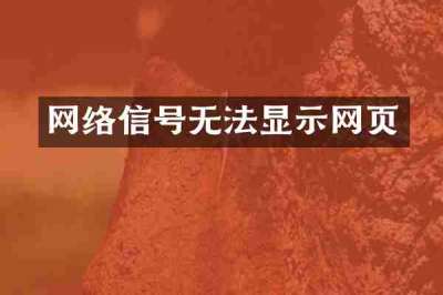 网络信号无法显示网页