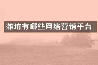 潍坊有哪些网络营销平台