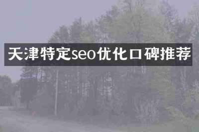 天津特定seo优化口碑推荐