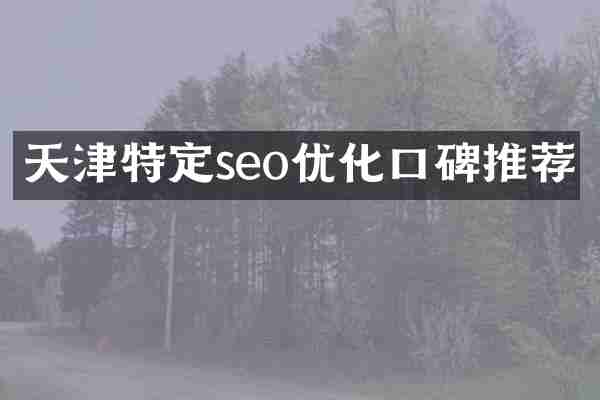 天津特定seo优化口碑推荐