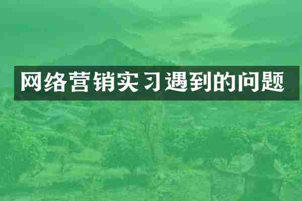 网络营销实习遇到的问题