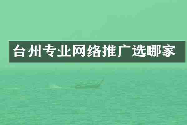 台州专业网络推广选哪家