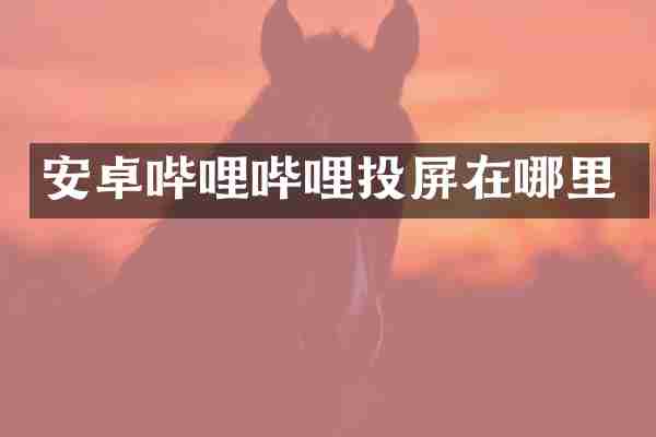 安卓哔哩哔哩投屏在哪里